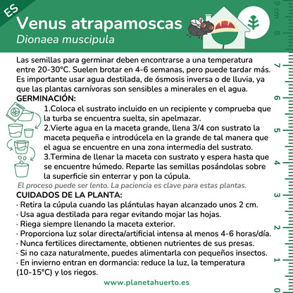 Kit de autocultivo para planta carnívora de dioneia Planeta Huerto