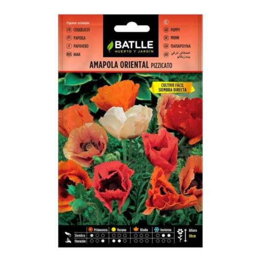 Sementes de papoila oriental Batlle Pizzicato