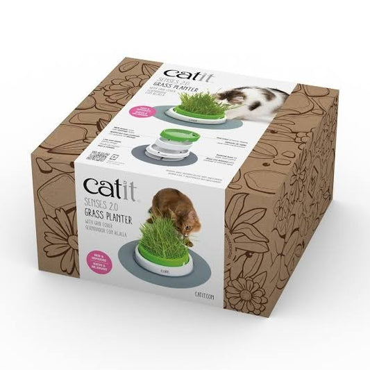 Germinador con hierba gatera Senses 2.0 Catit