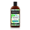 Champô Verde Nuggela &amp; Sulé 250 ml