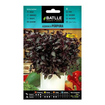 Sementes de manjericão roxo Batlle