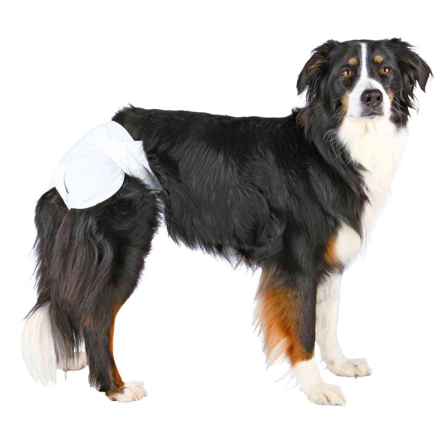 Fraldas Trixie Ultra Absorventes para Cães Fêmeas 12ml