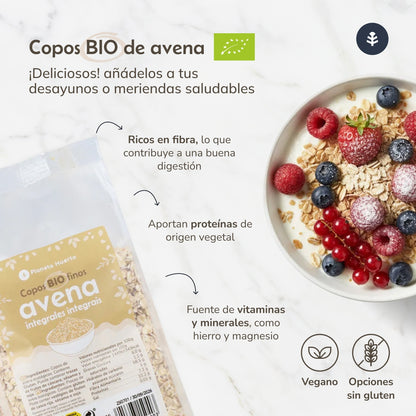 Flocos de Aveia Finos Sem Glúten ECO Planeta Huerto 500 g
