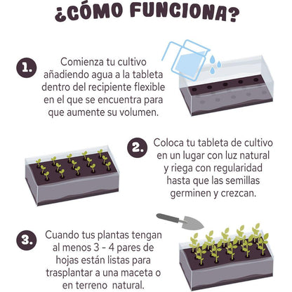 Comprimido de cultura de morango vermelho
