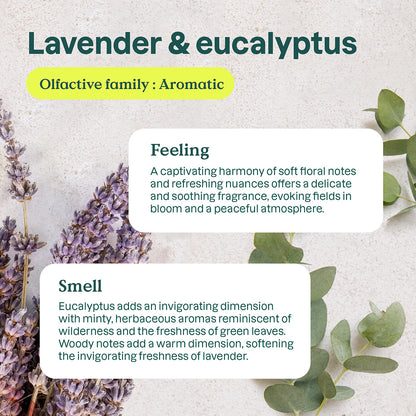 Purificador Natural de Eucalipto e Lavanda Attitude 227 g