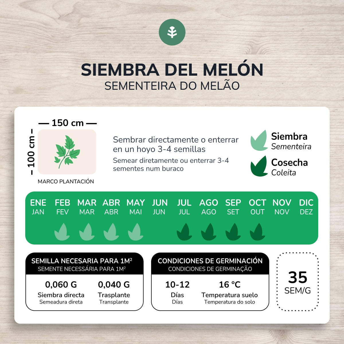 Sementes de Melão Piel de Sapo Biológicas Planeta Huerto