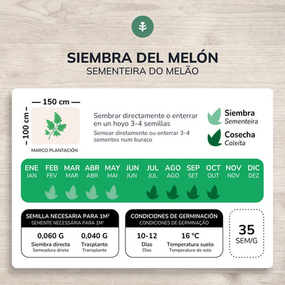 Sementes de Melão Piel de Sapo Biológicas Planeta Huerto