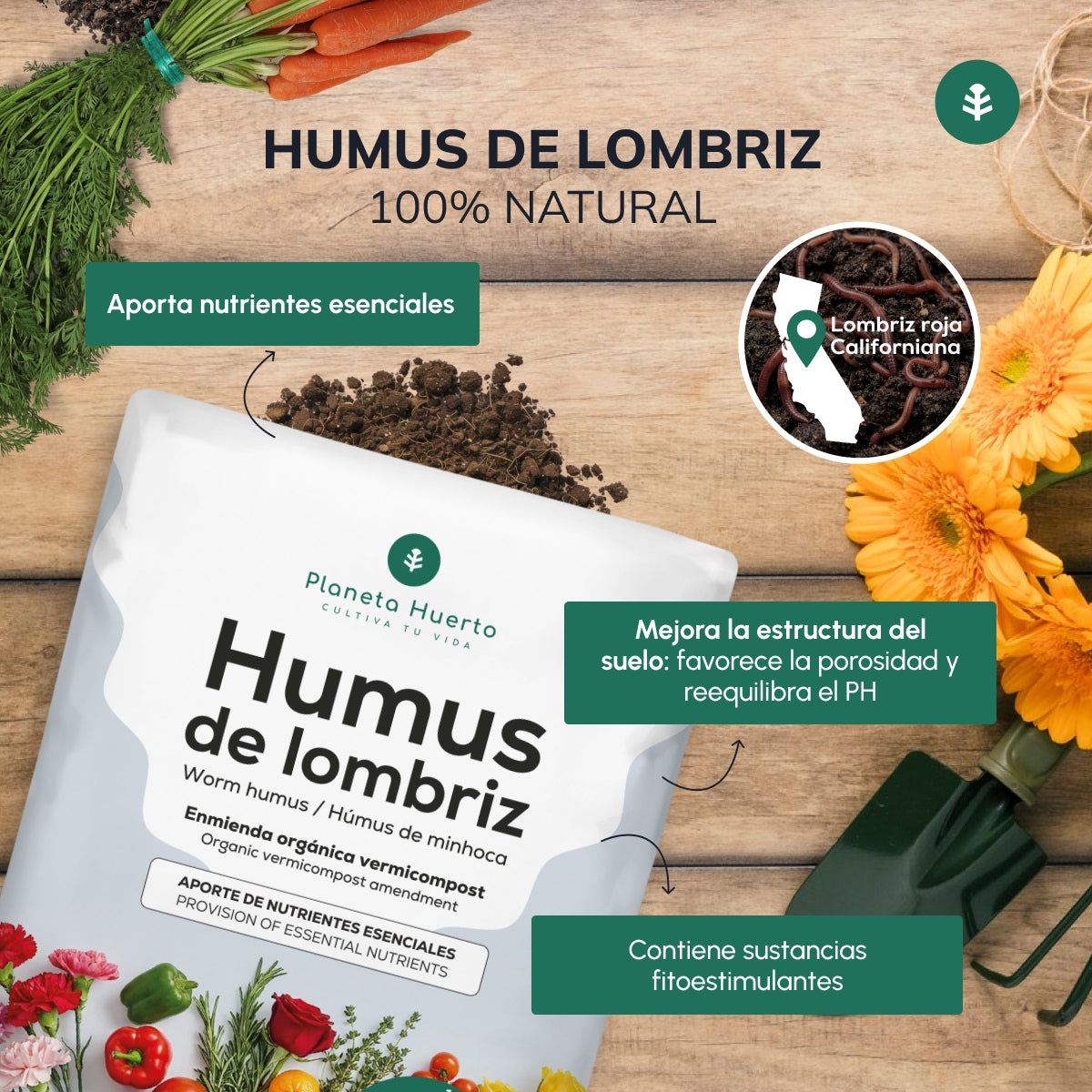 Pack grande “Mi mesa de cultivo de otoño”