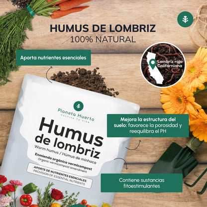 Pack grande “Mi mesa de cultivo de otoño”
