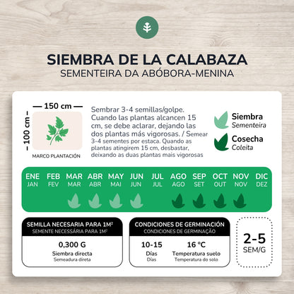 Sementes de abóbora-manteiga biológicas Planeta Huerto