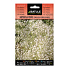 Sementes de Gypsophila vivaz Paniculata simples branca Batlle