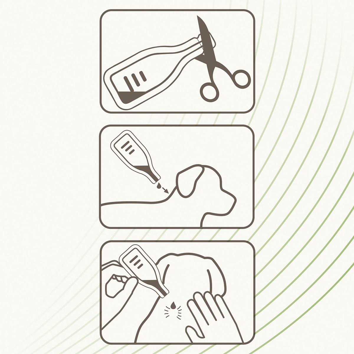 Pipetas repelentes antiparasitárias naturais para cães de porte médio, 3 x 2 ml