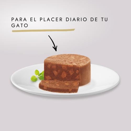 GOURMET GOLD Comp Salmão Tubo Alimento húmido 85 g