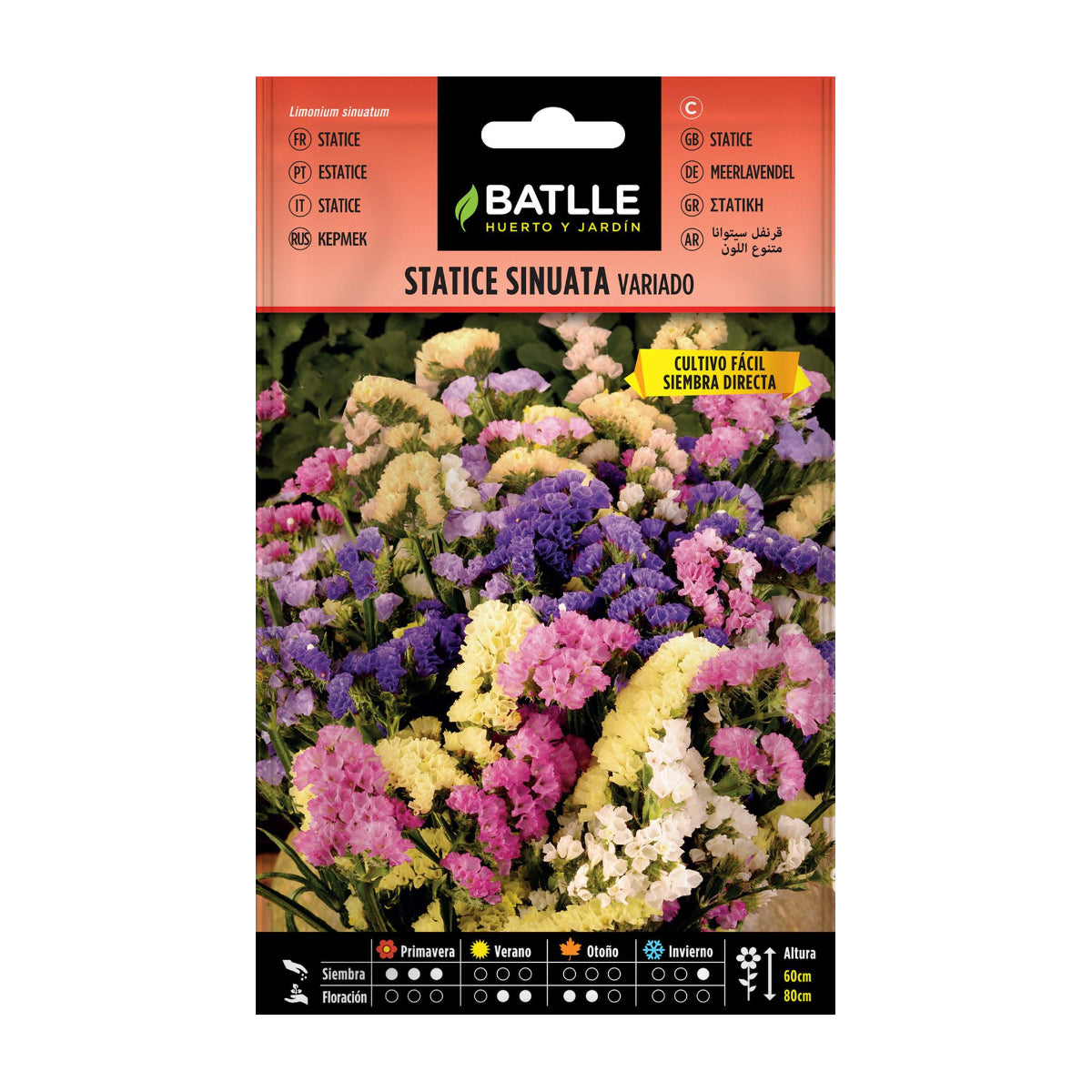 Sementes de Statice sinuata variegadas Batlle