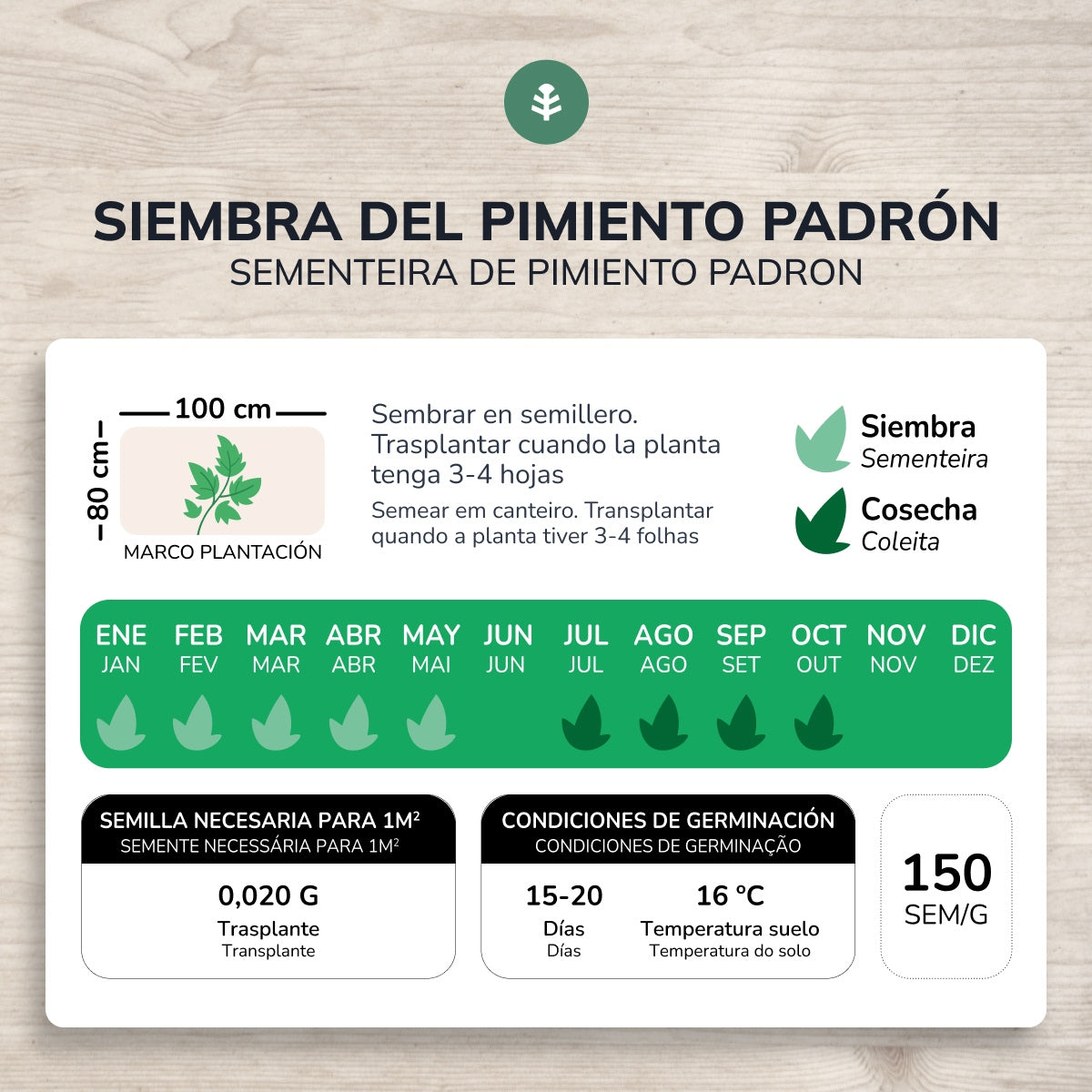 Sementes de Pimento Padrón Biológicas do Planeta Huerto