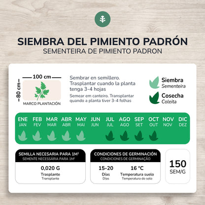 Sementes de Pimento Padrón Biológicas do Planeta Huerto