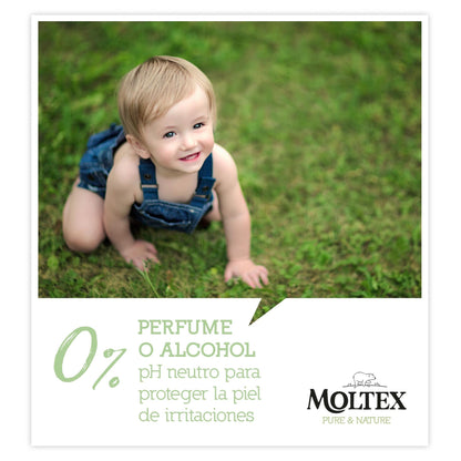 Pack de 12 toalhetes Moltex Pure &amp; Nature 60 unidades