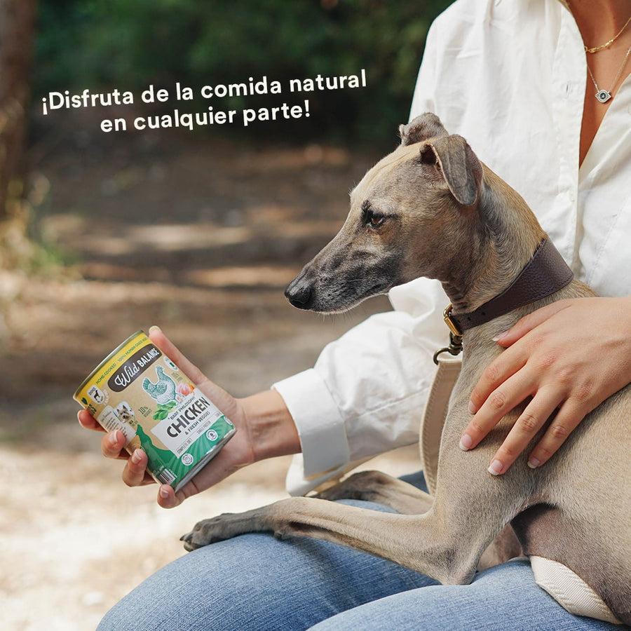 Wild Balance Chicken Barf Pack para cães 6 x 400 g
