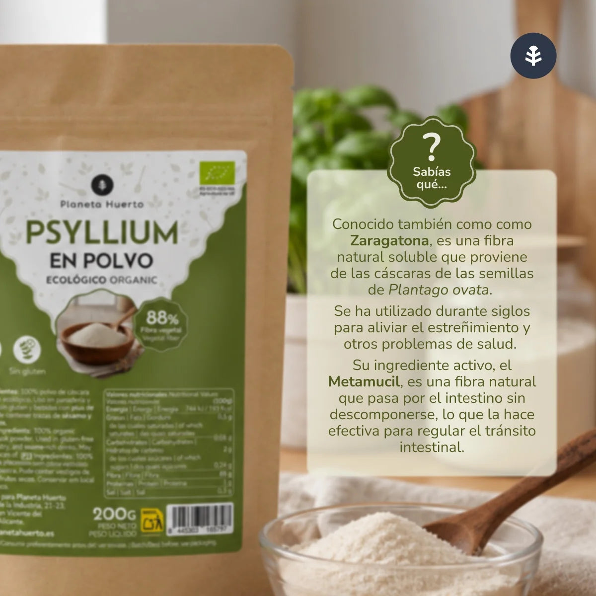 Psyllium em pó Eco Planeta Huerto 400 g
